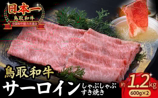 鳥取和牛 サーロイン しゃぶしゃぶすき焼き用 1.2kg ( 600g × 2 ) 鳥取和牛 サーロイン しゃぶしゃぶ すき焼き 国産 牛肉 ブランド牛 和牛 黒毛和牛 KR1310鳥取県倉吉市73000肉牛肉