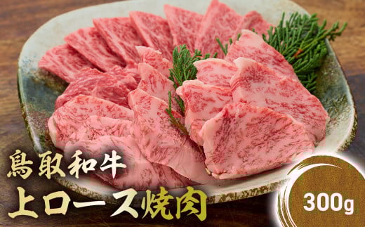 a ネ[Xē 300g Y uh  ē  a јa  [X BBQ Ⓚ 挧 qgs KR1423挧qgs16000