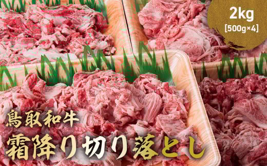 a ~؂藎Ƃ 2kg ( 500g × 4 ) [X o ؂藎Ƃ Y  uh a јa  挧 qgs KR1475挧qgs80000