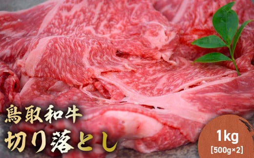 a ؂藎Ƃ 1kgi 500g × 2P j ؂藎Ƃ  Y a јa  uh Y 挧 qgs KR408挧qgs19000