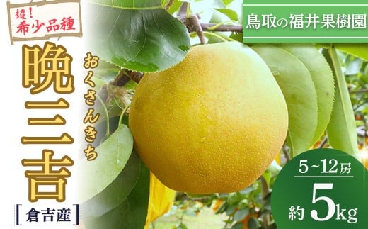 y󏭗z ӎOg 5kgi5`12ʁj qgY ʎ 񂫂  Ȃ iV uh ~ 󏭕i ʕ t[c a ʌ蒹挧qgs18000ʕEt[c񂲁E