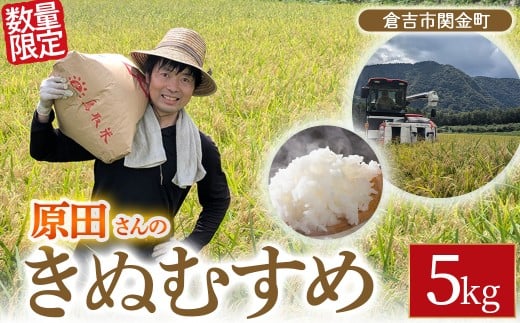【新米】【在庫限定】令和7年産米 原田さんのきぬむすめ 5kg (原田農園)数量限定 新米 お米 米 こめ コメ 白米 きぬむすめ ブランド米 鳥取県 倉吉市鳥取県倉吉市15000米・パン白米