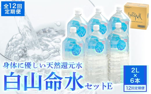 白山命水 セットE 12回定期便(ペットボトル2L×6本入り) ミネラルウォーター 国産 人気 水 白山命水 天然水 定期 定期便鳥取県倉吉市114000お茶・飲料水・ミネラルウォーター