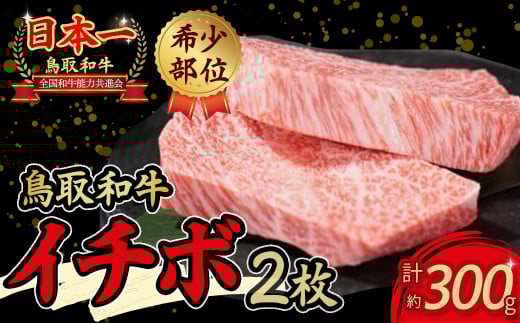 yʏ픭za 󏭕ʃXe[L uC`{v i300gj a C`{  Xe[L ē Ă 󏭕 Ԑg ~ јa uha  s\񒹎挧qgs1