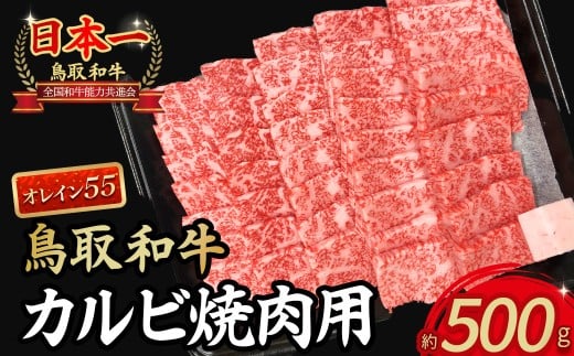 鳥取和牛オレイン55 カルビ 焼肉用(500g) 国産 牛肉 和牛 黒毛和牛 焼肉 BBQ カルビ 和牛カルビ 高級カルビ鳥取県倉吉市28000肉牛肉