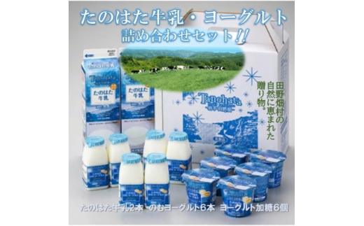 `茧c씨Y̐100%gp`@̂͂E[OgZbg( TK-3)y1273687z茧c씨10000Ei[Og