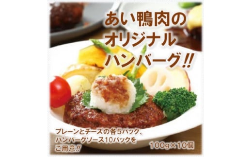 田野畑村産鴨ハンバーグセット(ソース付) 100g×10個【1507309】岩手県田野畑村14000肉その他 肉
