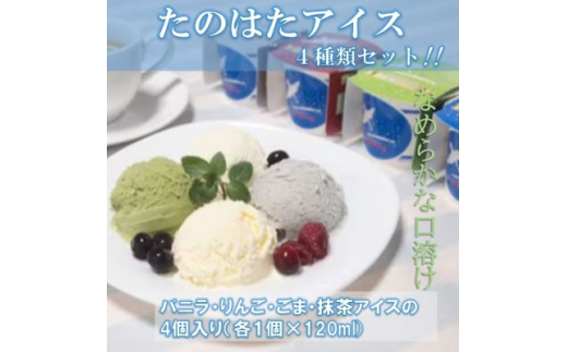 たのはたアイスクリームセット!  バニラ・りんご・ごま・抹茶4種類(NTK-5)【1518188】岩手県田野畑村6000菓子・スイーツアイス・ジェラート