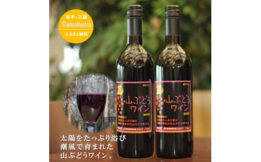 RԂǂC@Ì@750ML@2{y1582759z茧c씨22000EAR[C