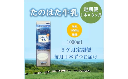 ց̂͂1000ml×1{@ւ8525ԎEہ@@@S3y4065227z茧c씨10000EiE