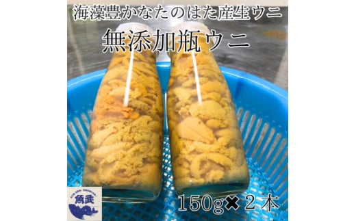2026年先行予約 岩手県たのはた産 牛乳瓶入り生ウニ150g×2本 数量限定 塩水生うに【1395516】岩手県田野畑村34000魚介・海産物イカ・タコ・ウニ