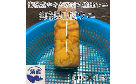 2026年先行予約 岩手県たのはた産 牛乳瓶入り生ウニ150g×1本 数量限定 塩水生うに_うに ウニ 生うに 塩水 瓶うに 海鮮 鮮魚 岩手県 田野畑村 美味しい 人気  ギフト 贈答【1509338】岩手県