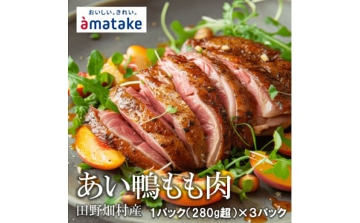 田野畑産 あい鴨もも肉 1枚パック×3パック 限定300セット!【1637775】岩手県田野畑村13500肉ジビエ