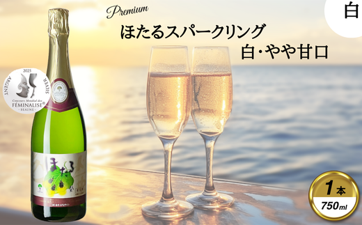 岩手くずまきワイン スパークリング <ほたるスパークリング・白:750ml> 1本【1648943】岩手県葛巻町10000酒・アルコールワイン