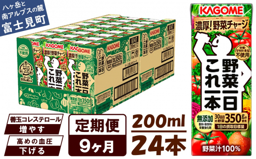 【定期便 9ヶ月】 カゴメ 野菜一日これ一本 24本×9回 【 野菜ジュース 紙パック 定期便 1日分の野菜 野菜100% 飲料類 ドリンク 備蓄 長期保存 防災 無添加 砂糖不使用 甘味料不使用 食塩不使