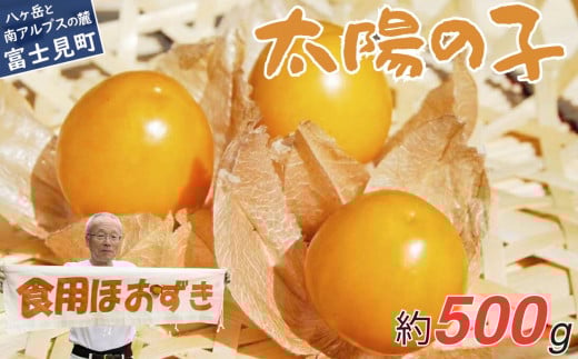 農薬不使用 フルーツほおずき 太陽の子 500g ビタミンA 鉄分 イノシトール 食用ほおずき バディアス農園 ★長野県富士見町12500果物・フルーツその他 果物・フルーツ