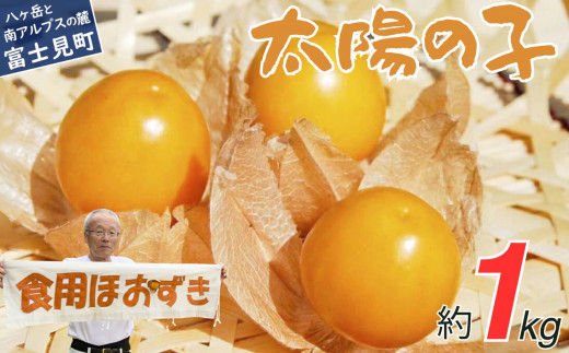 農薬不使用 フルーツほおずき 太陽の子 1kg ビタミンA 鉄分 イノシトール 食用ほおずき バディアス農園長野県富士見町22000果物・フルーツその他 果物・フルーツ