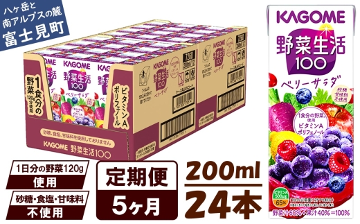 【 定期便 5ヶ月 】 カゴメ 野菜生活100 ベリーサラダ 200ml×24本 ジュース 野菜 果実ミックスジュース 果汁飲料 紙パック 砂糖不使用 4食分の野菜 鉄分 ポリフェノール ビタミンA 飲料類 ドリ