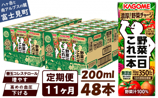 【定期便 11ヶ月】 カゴメ 野菜一日これ一本 48本×11回 【 野菜ジュース 紙パック 定期便 1日分の野菜 野菜100% 飲料類 ドリンク 備蓄 長期保存 防災 無添加 砂糖不使用 甘味料不使用 食塩不
