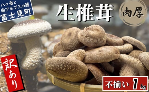 󂠂   1kg xR[炿 Y ̂ SS _sgp nEX͔| Fȍ `s ő MB쌧xm9000؁Ê̂