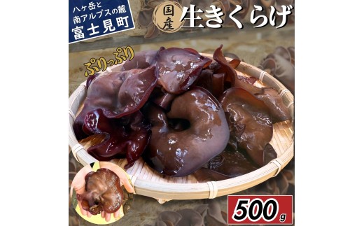 y2026Ns\z  ՂՂRR 炰 500g xR[炿 Y SS _sgp nEX͔| H@ MB  [7{Jn]쌧xm7500؁Ê̑ 