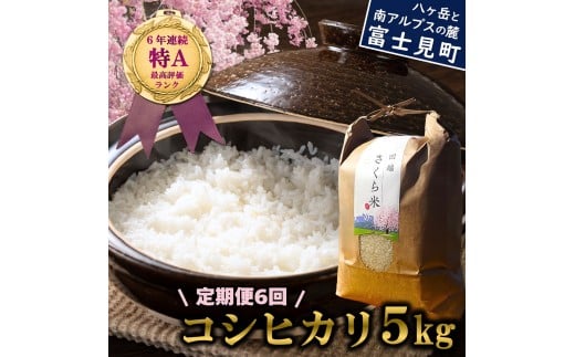 【定期便 6ヶ月】 信州 長野県産 特A こしひかり 5kg 田端さくら米 コシヒカリ 新米 米 5kg 令和7年産長野県富士見町100000米・パン白米