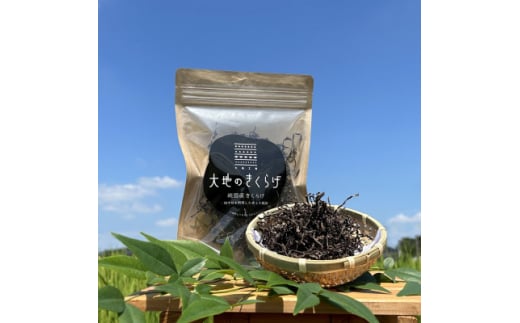 国産 乾燥きくらげ 細切りカット 30g×1個 大地のきくらげ 桶川市産【1577260】埼玉県桶川市4000野菜・きのこきのこ