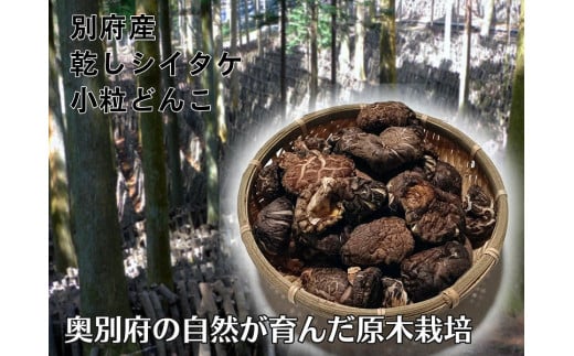別府産乾しシイタケ 小粒どんこ 200g箱入り大分県別府市10000調味料・油だし