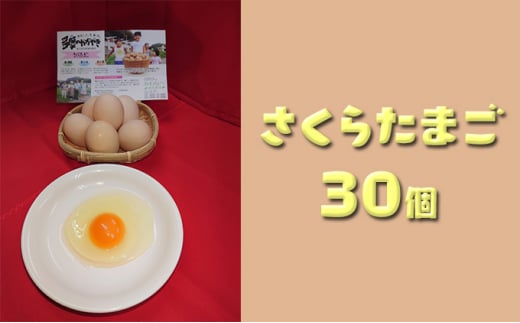 Ȃ׌{_̂̂܂炽܂30/ Y ~sY {   ܂ ^}S ʎq H  sjf ł܂   N A~m_ ~s [5714-0126]