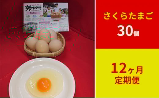 【定期便】かわなべ鶏卵農場のこだわりのたまごさくらたまご30個12ヶ月連続お届け/こだわり 国産 青梅市産 鶏 鳥 卵 たまご タマゴ 玉子 朝食 卵かけご飯 TKG ゆでたまご 卵黄 卵白 健康