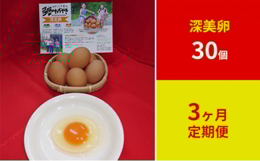 【定期便】かわなべ鶏卵農場のこだわりのたまご深美たまご30個3ヶ月連続お届け/こだわり 国産 青梅市産 鶏 鳥 卵 たまご タマゴ 玉子 朝食 卵かけご飯 TKG ゆでたまご 赤玉 卵黄 卵白 健