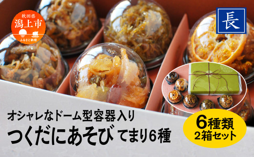 佃煮 詰め合わせ 6種 セット 2箱 ご飯のお供 ご飯がすすむ つくだ煮 ちりめん いか わかさぎ おすすめ 老舗 グルメ お取り寄せ おいしい 甘め 人気 おつまみ 肴 酒のあて おかず 秋田 秋田県