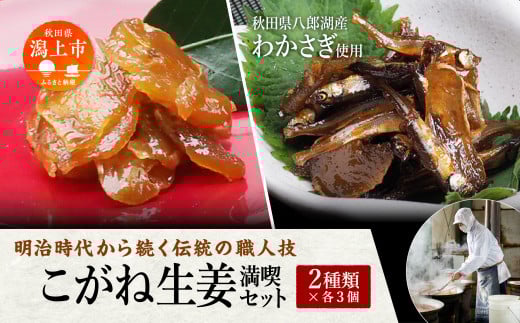 こがね生姜満喫セット 詰め合わせ 小分け ご飯のお供 つくだに おつまみ グルメ 小魚 子供 美味しい 秋田 人気 おすすめ 潟上市【佐藤徳太郎商店】秋田県潟上市12500鍋セット・総菜・加工食