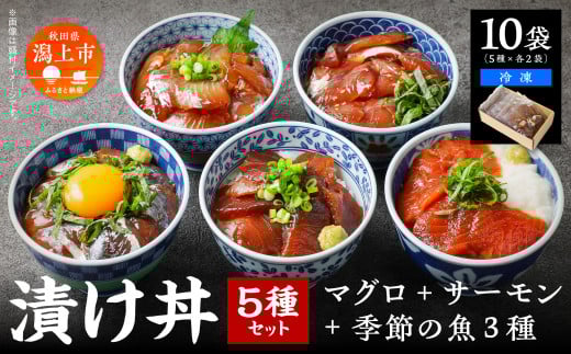 海鮮漬け丼セット 5種×2袋 60g×10袋  計600g 1.2kg 食べ比べ 訳アリ 訳あり 簡易包装 冷凍 海鮮丼 海鮮 マグロ サーモン タイ アジ イナダ 季節 魚 漬け 丼  魚介 簡単調理 お手軽 小分け パック 個