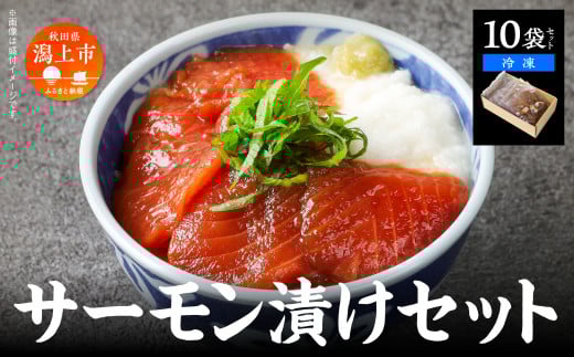 サーモン漬け丼セット 60g×10袋  計600g 訳アリ 訳あり 簡易包装 冷凍 時短 簡単調理 お手軽 小分け パック 個包装 一人暮らし 海鮮丼 海鮮 鮭 季節 魚 漬け 丼  魚介 おすすめ   【西村魚屋】秋