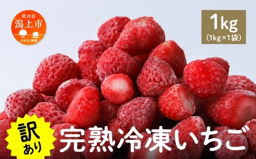 《 訳あり 》 冷凍いちご 大容量 規格外 不揃い 完熟 国産 採れたて 1kg 1袋 真空 個包装 バラ冷凍 ヘタなし 葉なし 冷凍 選べる いちご 苺 人気 【フルーツパークDETO】秋田県潟上市11000果物・