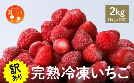s 󂠂 t Ⓚ e KiO s n Y ̂ꂽ 2kg 2 ^  oⓀ w^Ȃ tȂ Ⓚ Iׂ   lC yt[cp[NDETOzHcs15500ʕE
