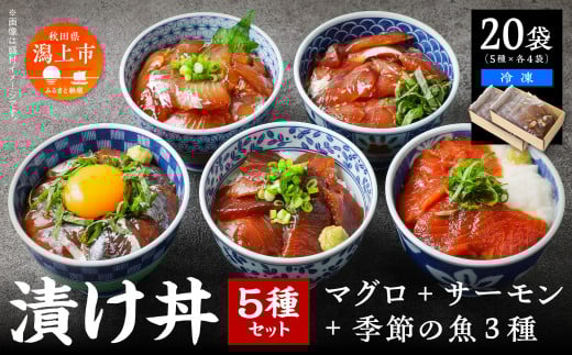 海鮮漬け丼セット 5種×4袋 60g×20袋  計1200g 食べ比べ 訳アリ 訳あり 簡易包装 冷凍 海鮮丼 海鮮 マグロ サーモン タイ アジ イナダ 季節 魚 漬け 丼  魚介 簡単調理 お手軽 小分け パック 個包