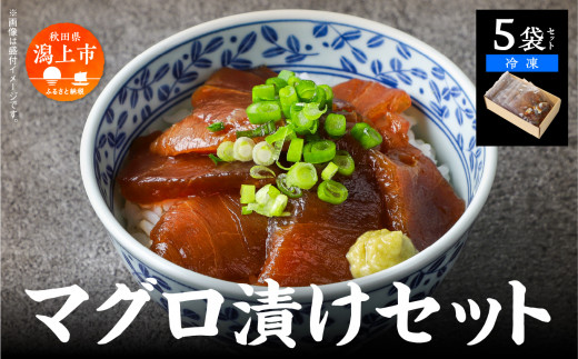 マグロ漬け丼セット 60g×5袋  計300g 訳アリ 訳あり 簡易包装 冷凍 時短 簡単調理 お手軽 小分け パック 個包装 一人暮らし 海鮮丼 海鮮 鮪 季節 魚 漬け 丼  魚介 おすすめ   【西村魚屋】秋田