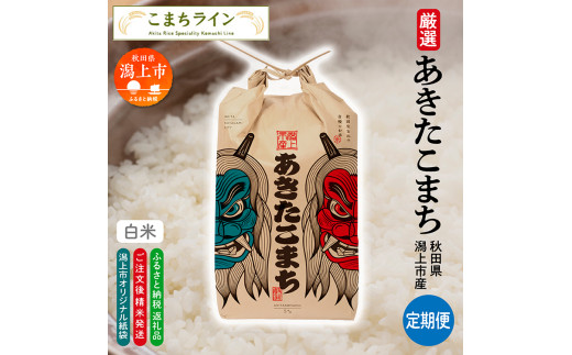 【令和7年産】【3か月定期便】《白米》新米 あきたこまち なまはげ 米袋 米 15kg×3回 一等米 ギフト パッケージ 限定デザイン 紙袋 リメイク 工作 お面 こども お土産 秋田 潟上市 【こまち