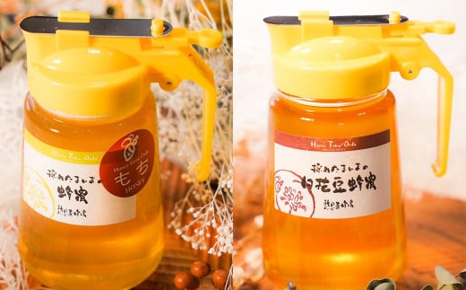 【国産蜂蜜】450gパッカー容器2本セット(くろがねもち蜂蜜、白花豆蜂蜜)岐阜県大垣市23000鍋セット・総菜・加工食品ジャム・はちみつ