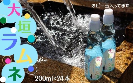 大垣ラムネ(200ml×24本) 自噴水を使用岐阜県大垣市23000お茶・飲料その他 お茶・飲料
