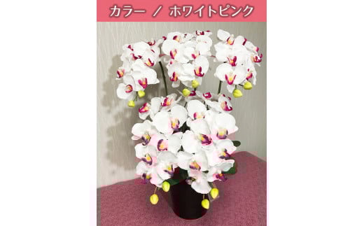 光触媒造花胡蝶蘭 5本立(ホワイトピンク)岐阜県大垣市63000衣類・装飾品・工芸品その他 装飾品・工芸品