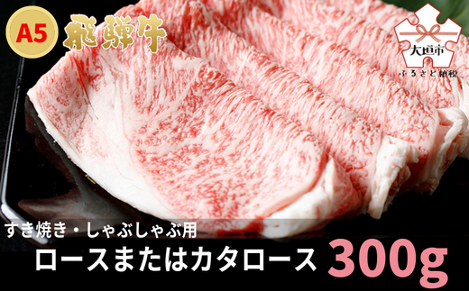 A5飛騨牛 すき焼き・しゃぶしゃぶ用 ロース又はカタロース 300g  牛肉 最高級 肉 霜降り岐阜県大垣市15000肉牛肉