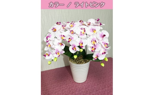 光触媒造花胡蝶蘭 3本立(ライトピンク)岐阜県大垣市45000衣類・装飾品・工芸品その他 装飾品・工芸品