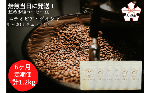 【定期便(6か月)】超希少種コーヒー豆『エチオピア ゲイシャ』ゲシャビレッジ農園 チャカ(ナチュラル)粉岐阜県大垣市102000お茶・飲料コーヒー・紅茶