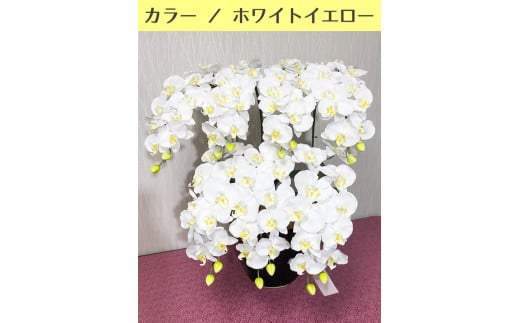 G}ԌӒ@7{izCgCG[j򕌌_s87000ߗށEiEH|ȋ iEH|i