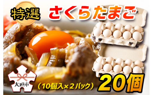 特選 さくら たまご 20個(10個入 × 2パック) タマゴ 卵 玉子岐阜県大垣市6000卵・乳製品卵(鶏、烏骨鶏等)