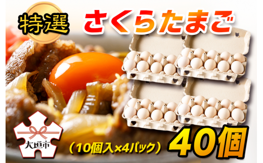特選 さくら たまご 40個(10個入 × 4パック) タマゴ 卵 玉子岐阜県大垣市12000卵・乳製品卵(鶏、烏骨鶏等)