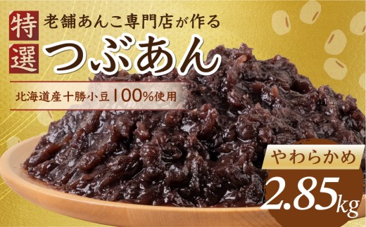 \リピーター多数/ 特選 つぶあん やわらかめ 2850g 2.85s 大垣名水 仕込み あんこ 餡子 お菓子 和菓子 スイーツ 小豆 常温 10000円 1万 人気 ランキング 松下製餡所 岐阜県 大垣市岐阜県大垣市